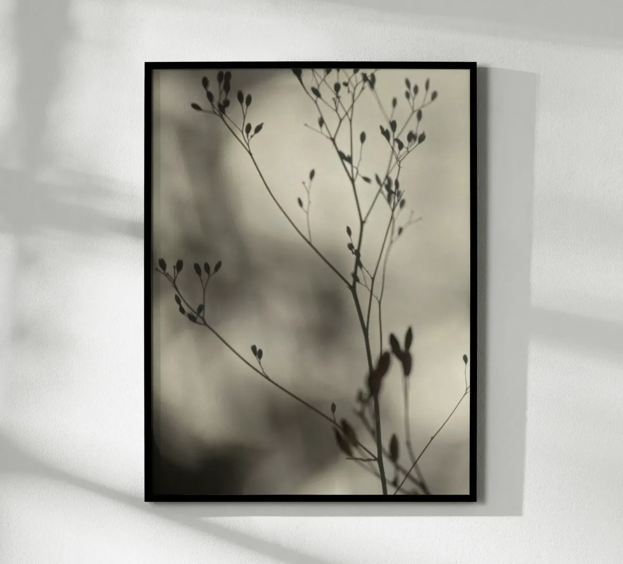 Luci e ombre poster da SaraRosenbaum