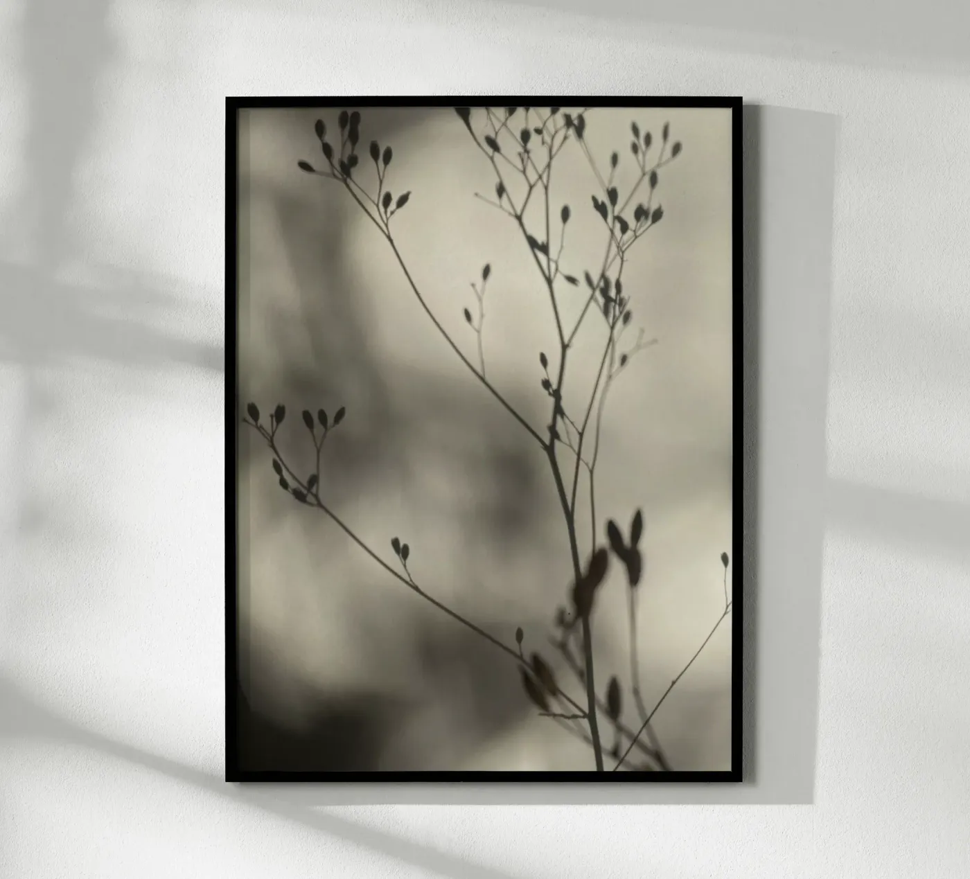 Licht en schaduw poster van SaraRosenbaum