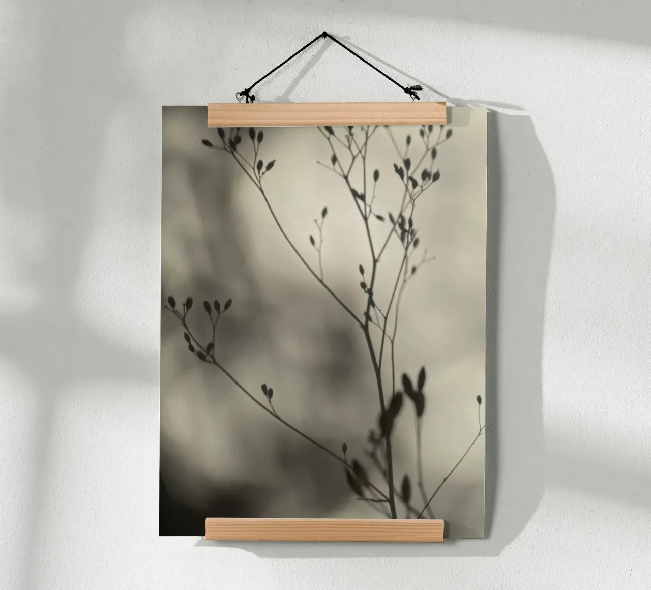 Luci e ombre poster da SaraRosenbaum