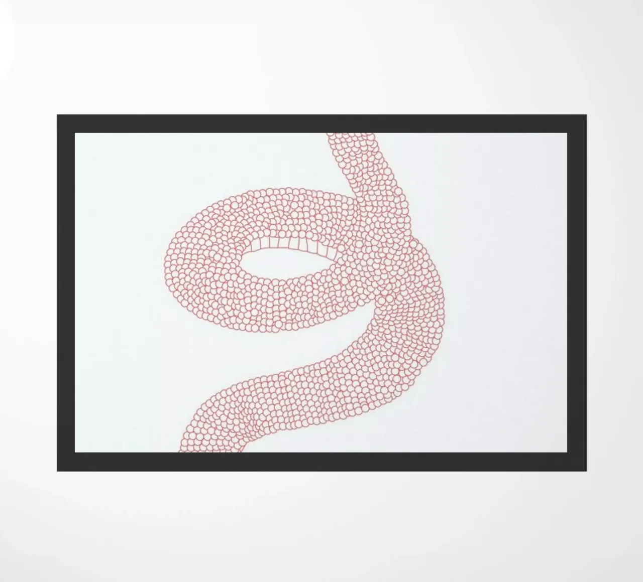 Slangen zerbino da Swen Swensøn