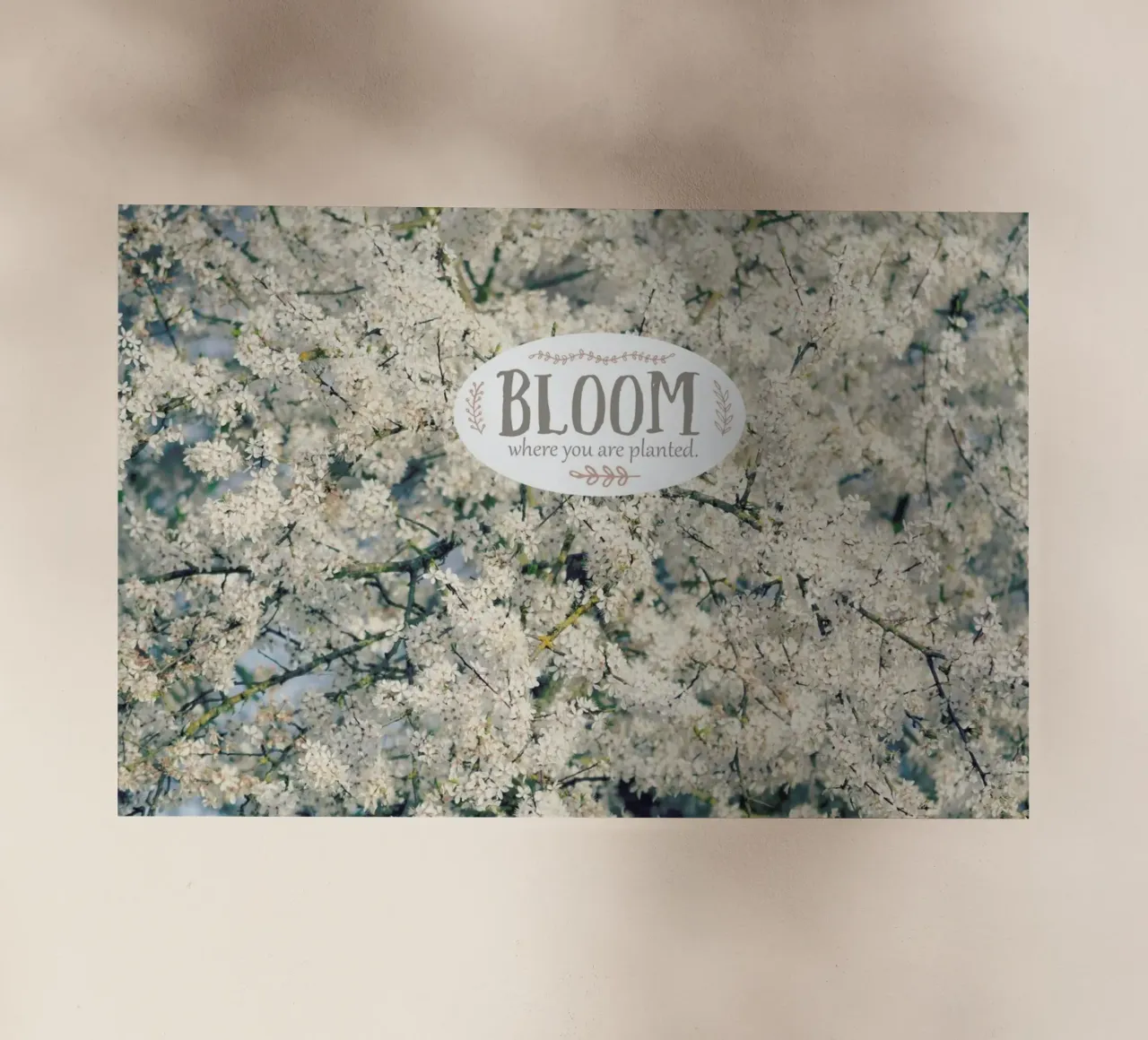 Bloom Where pellicola backlit da Robin Delean