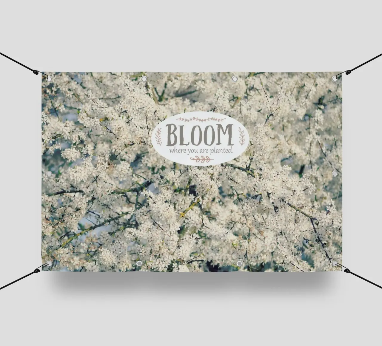 Bloom Where lonas publicitarias de Robin Delean