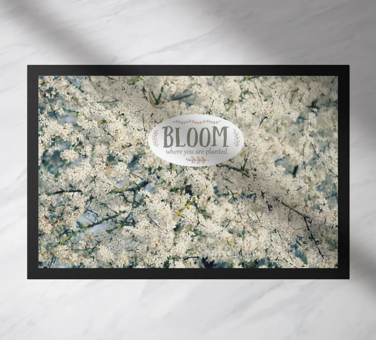 Bloom Where zerbino da Robin Delean