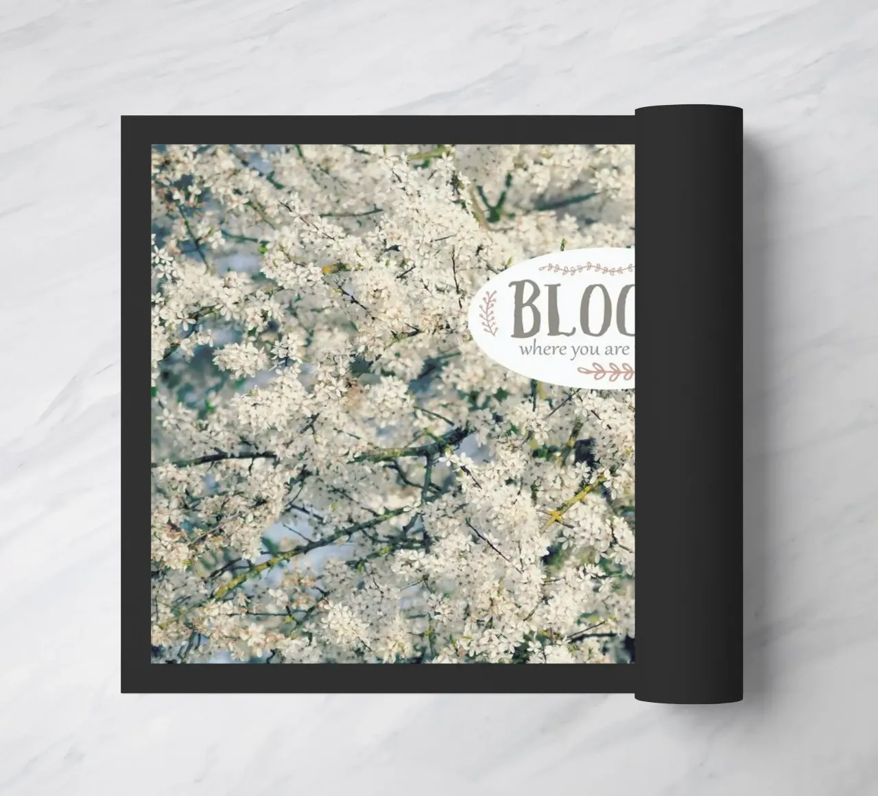 Bloom Where zerbino da Robin Delean