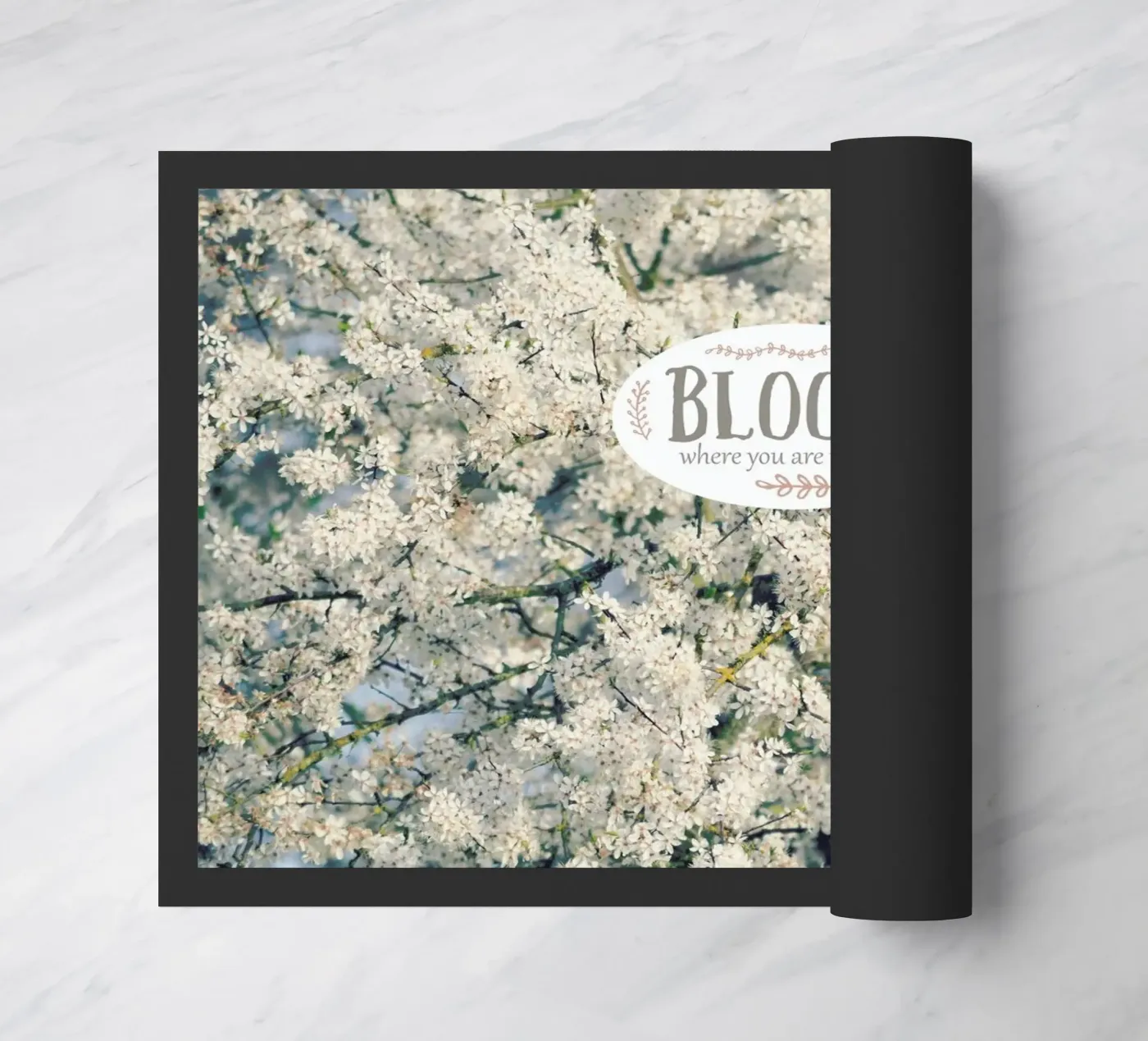 Bloom Where zerbino da Robin Delean