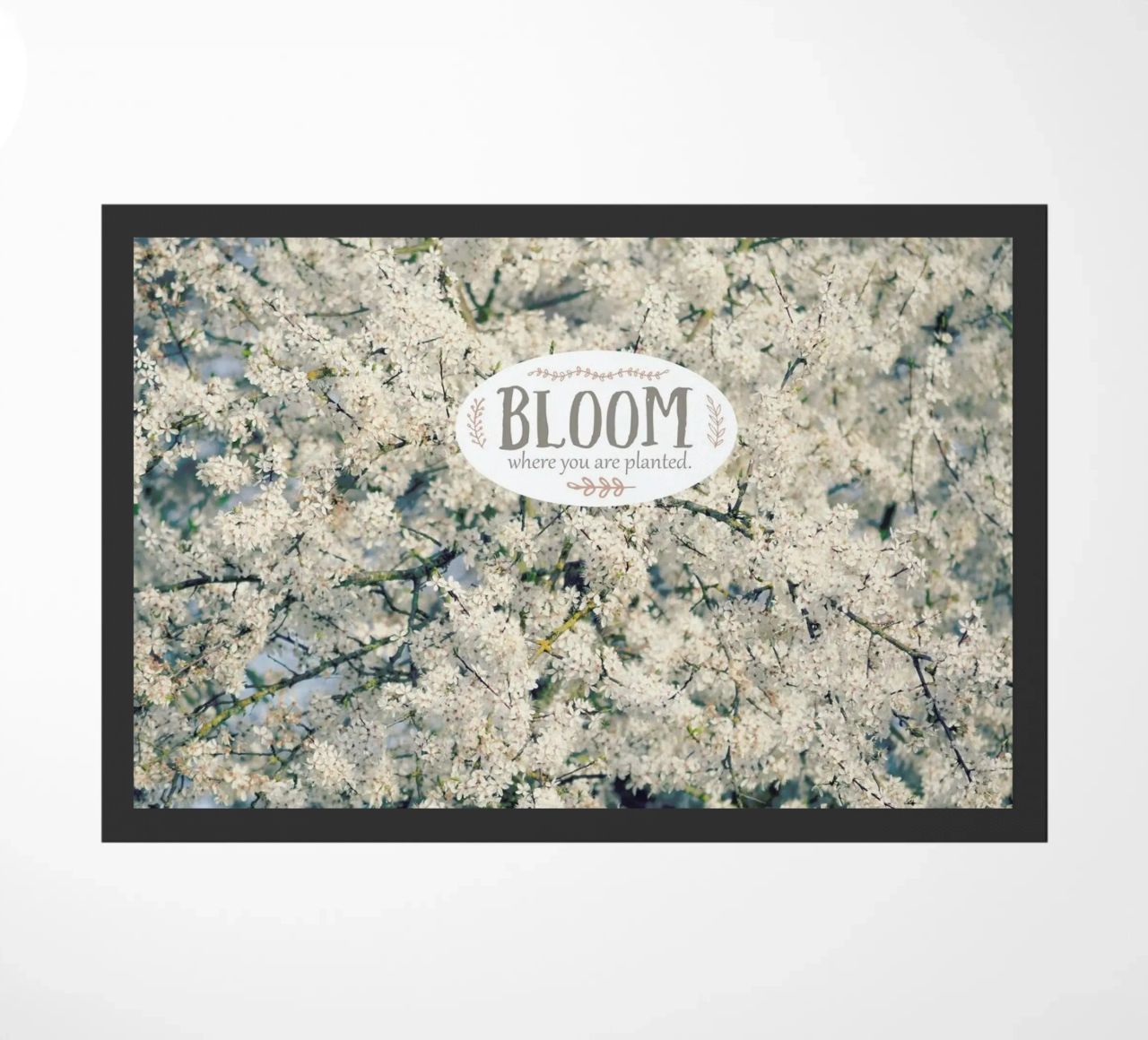 Bloom Where zerbino da Robin Delean