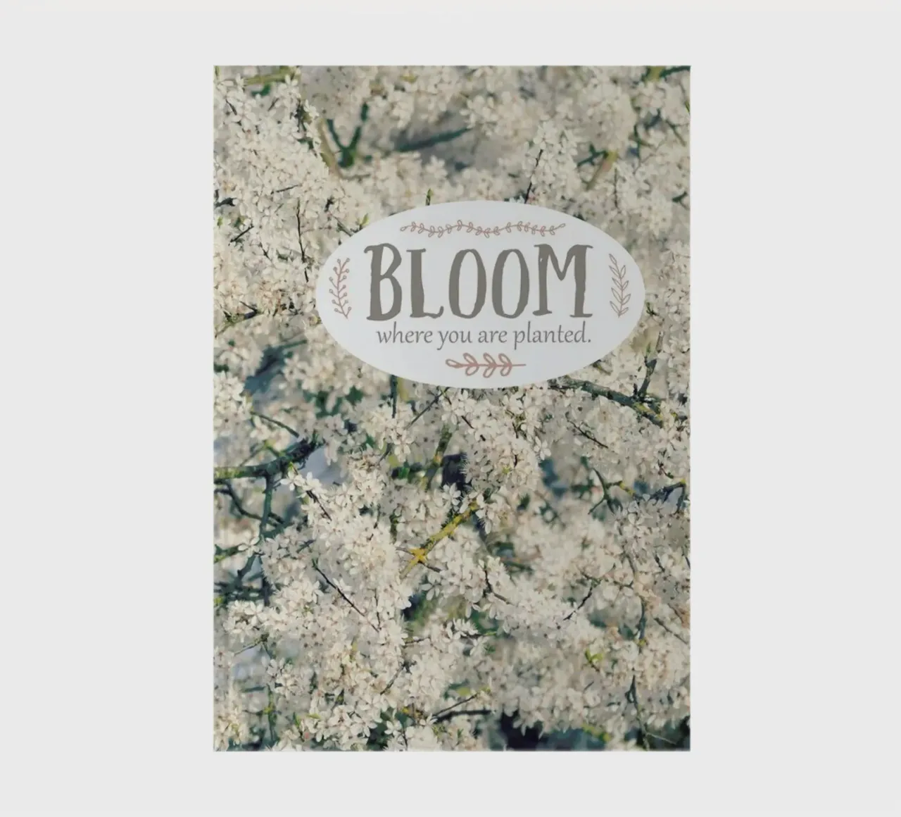 Bloom Where notebook by Robin Delean