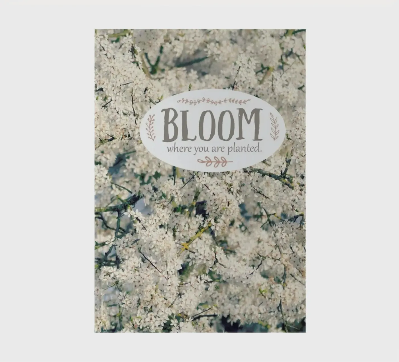 Bloom Where Notizbuch von Robin Delean