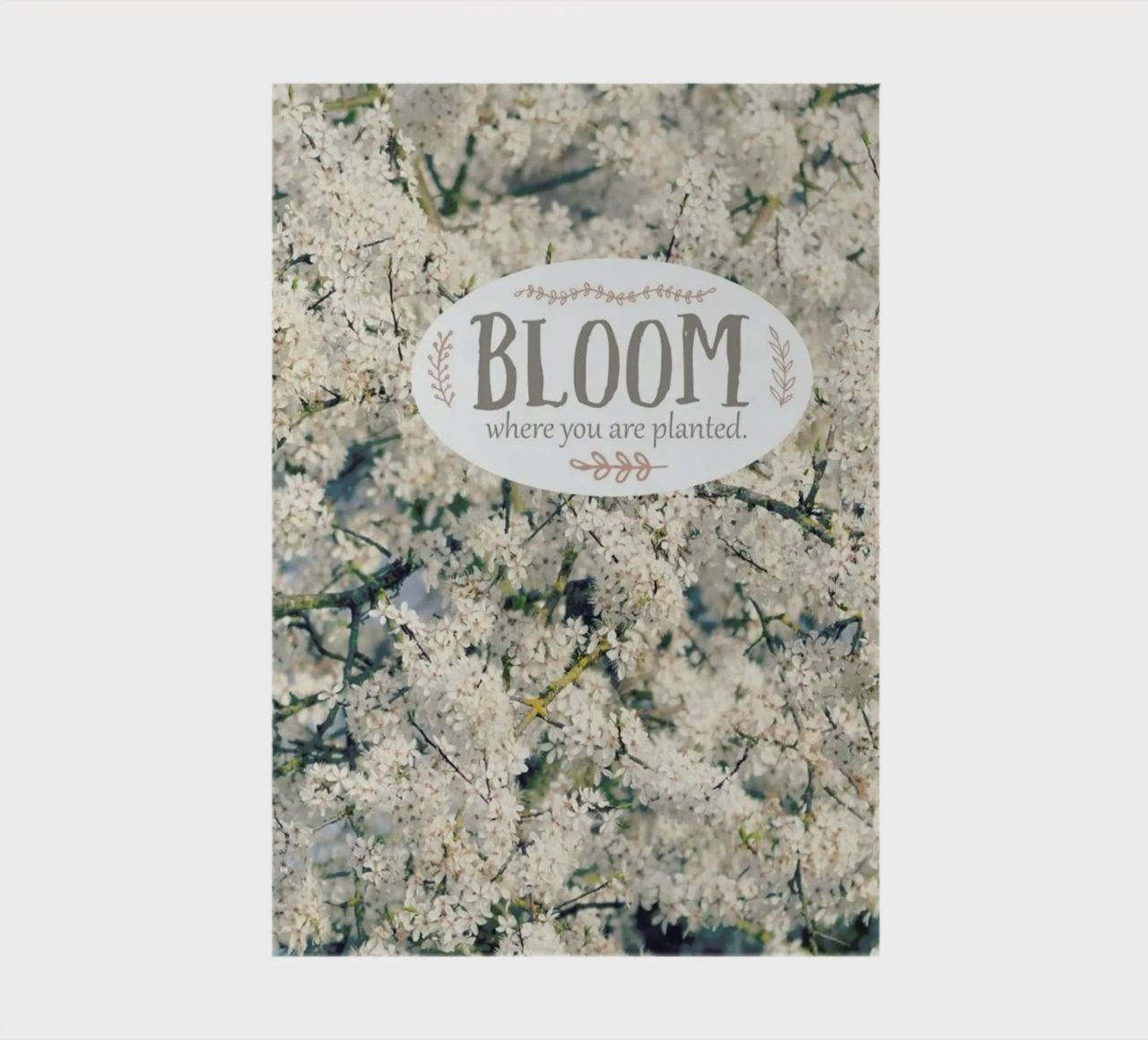 Bloom Where notebook by Robin Delean