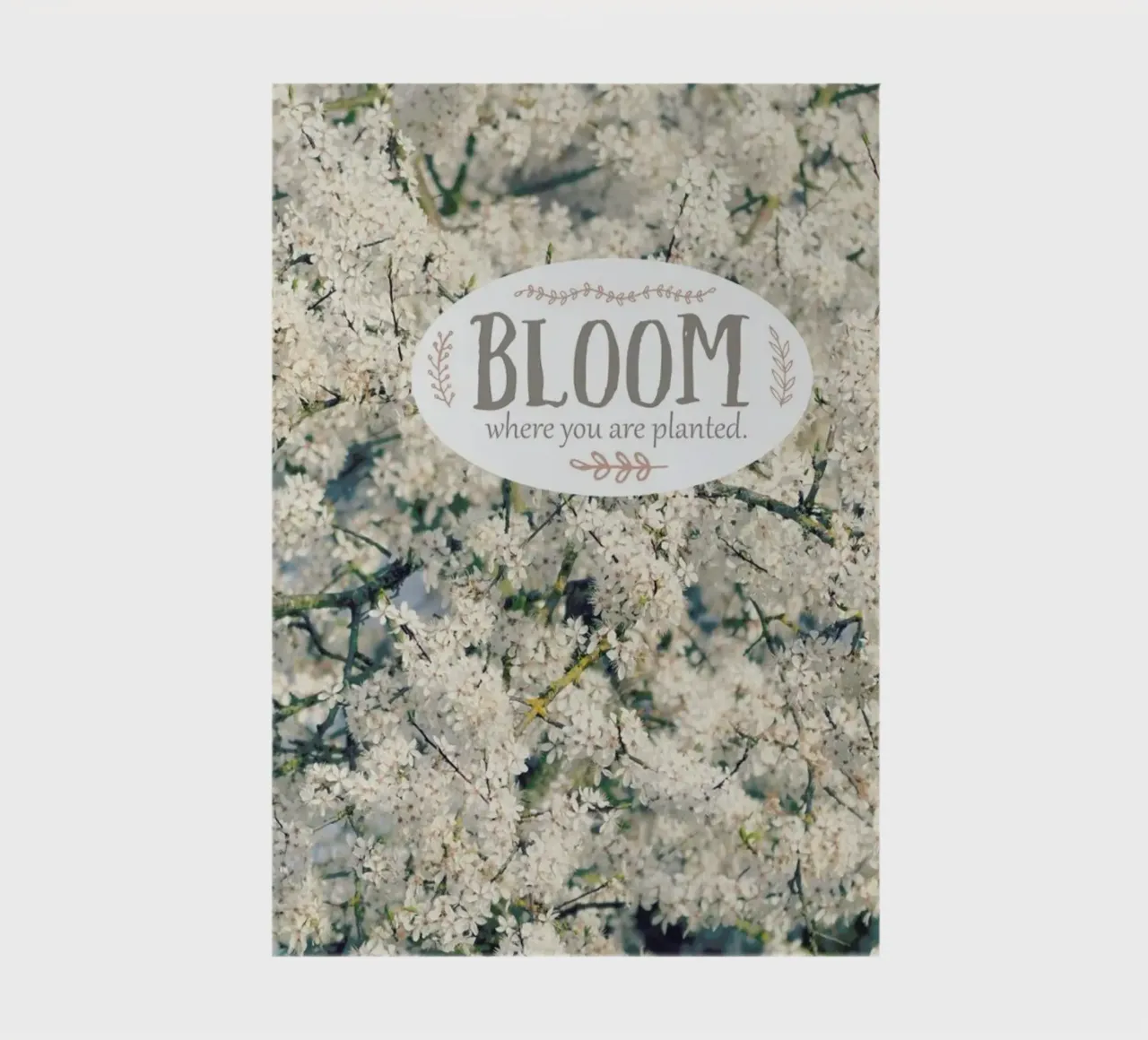 Bloom Where notebook by Robin Delean
