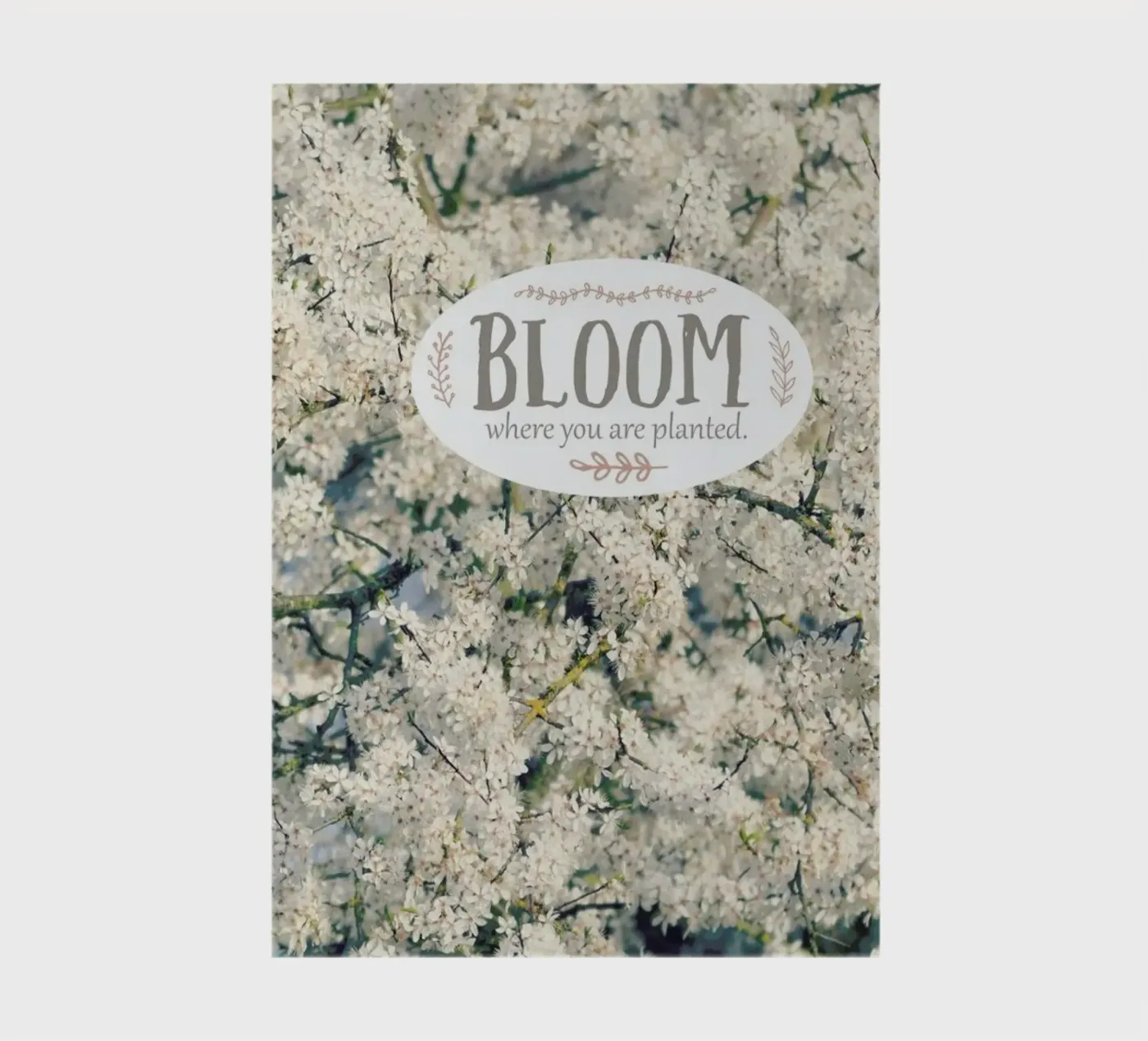 Bloom Where Notizbuch von Robin Delean