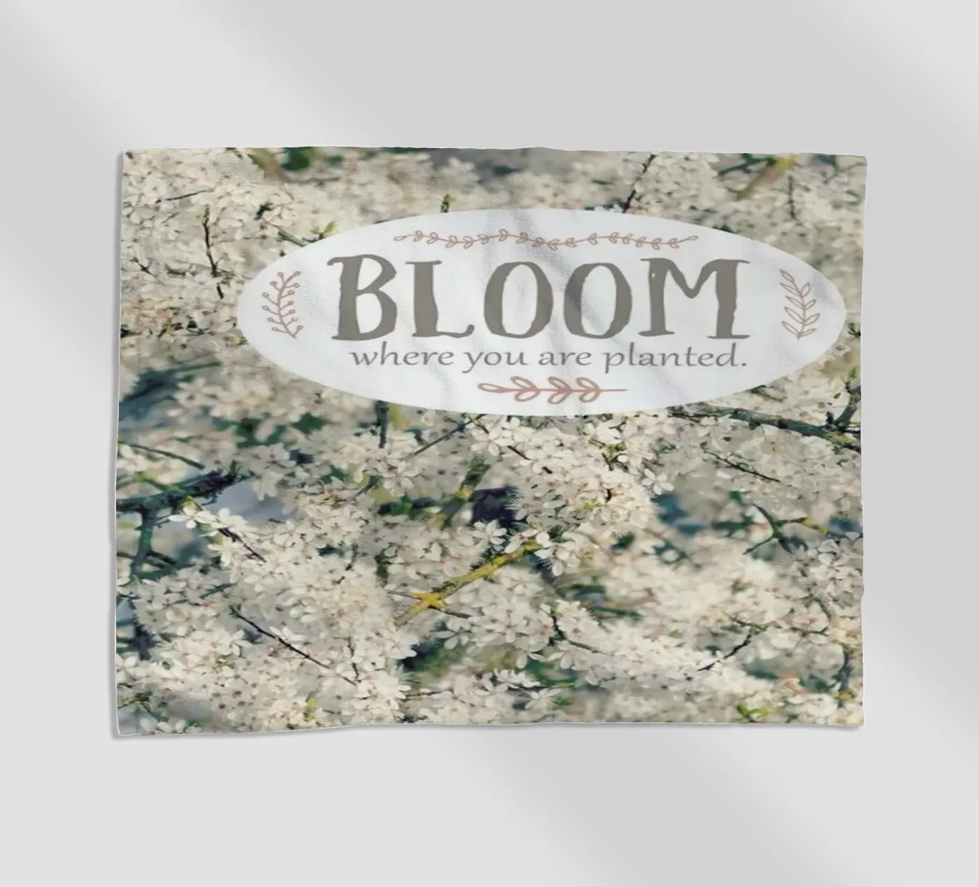 Bloom Where telo mare da Robin Delean