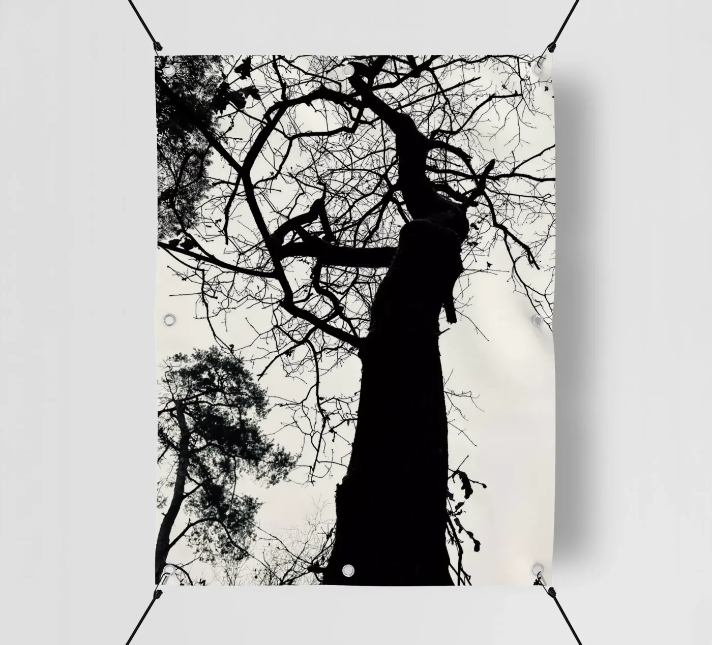 Winter tree PVC Plane von SaraRosenbaum