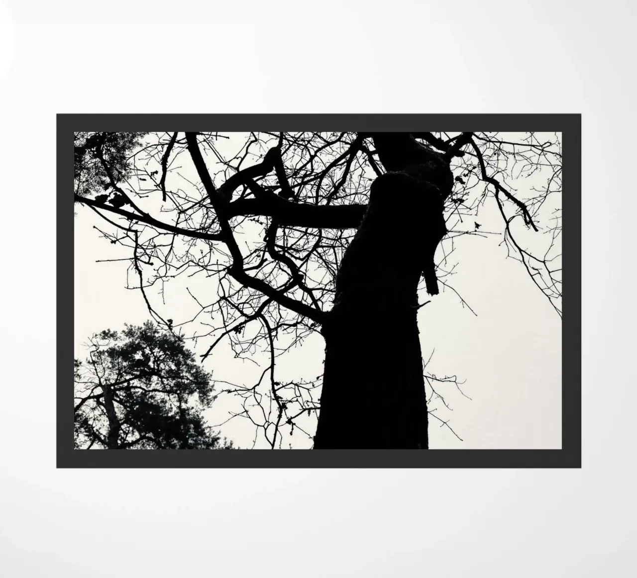 Winter tree doormat by SaraRosenbaum