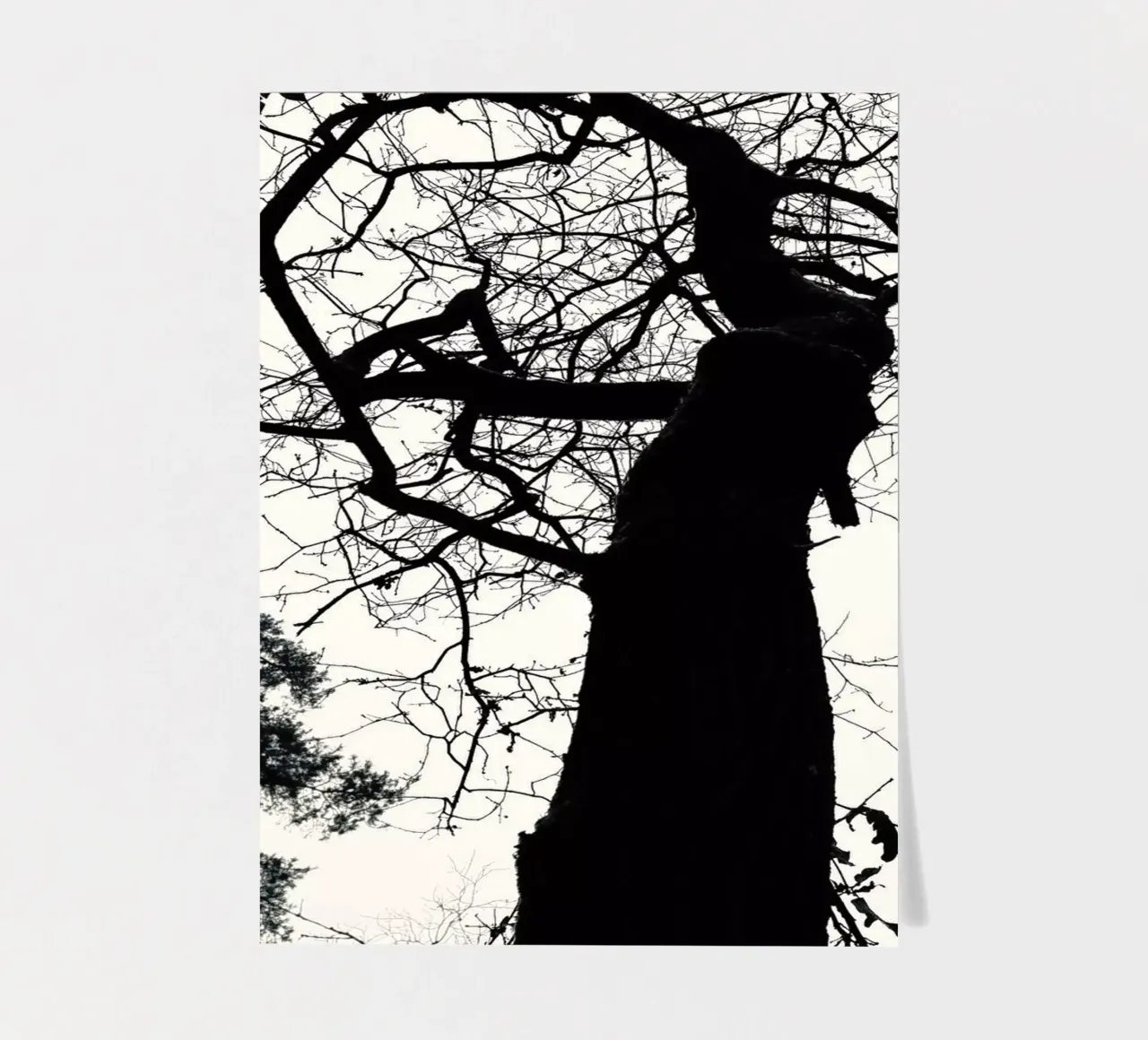 Winter tree sticker sheet by SaraRosenbaum