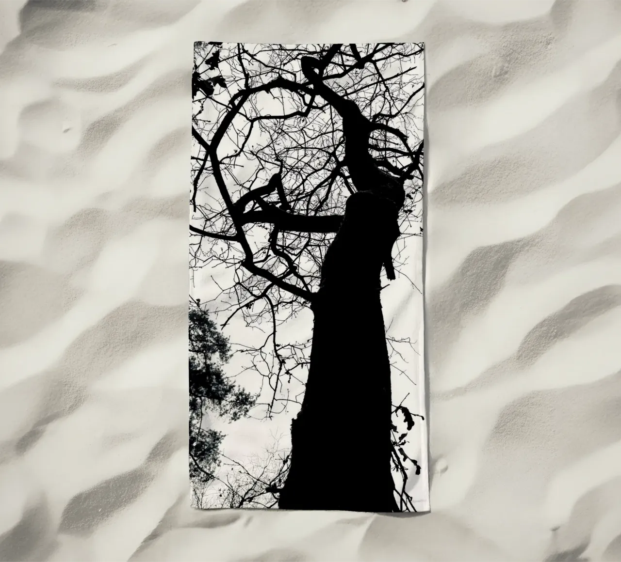 Winter tree telo mare da SaraRosenbaum