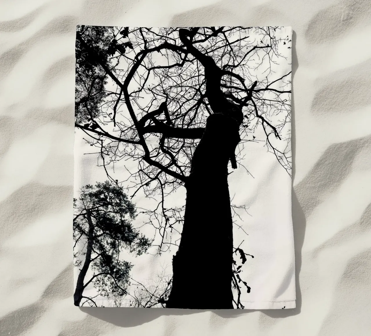 Winter tree telo mare da SaraRosenbaum