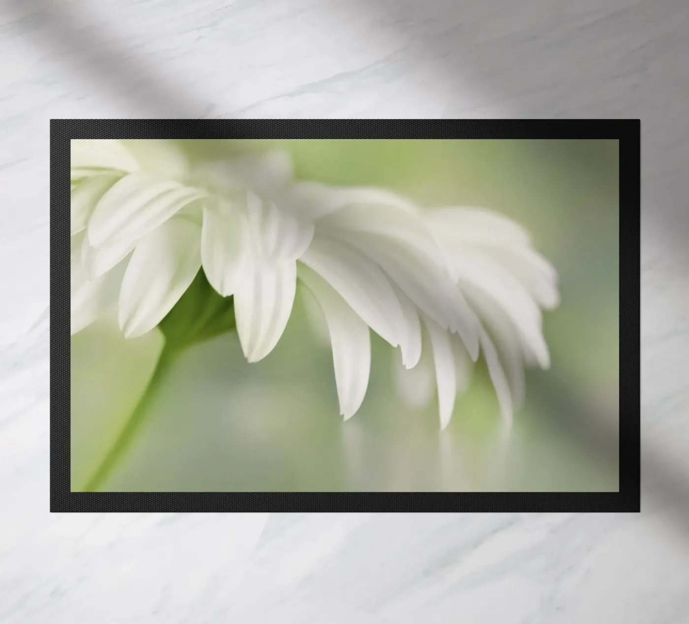 Gerbera doormat by Atteloi Fotografie