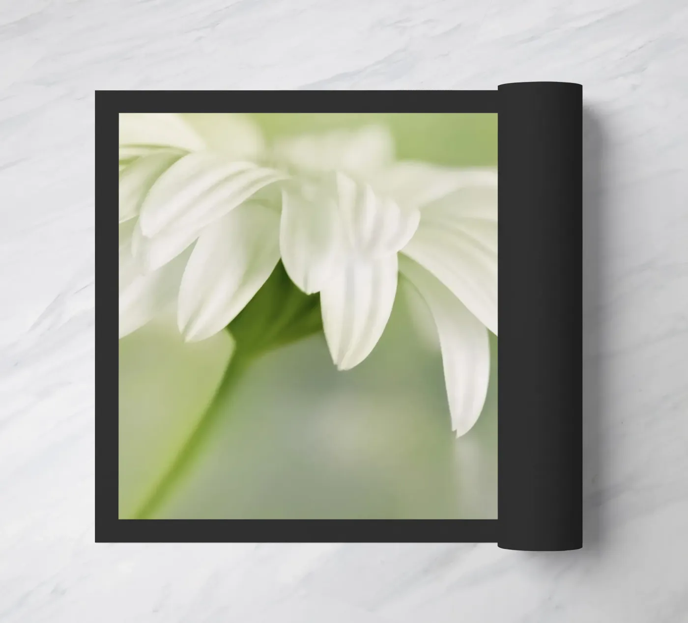 Gerbera Fußmatte von Atteloi Fotografie