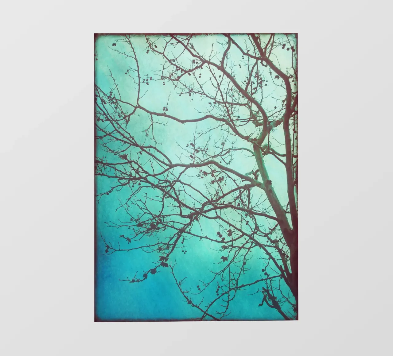 L'albero e l'alba telo in pvc da Eva Nev Photography