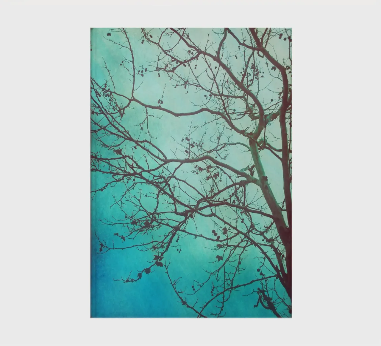 Tree and Dawn notebook by Eva Nev Photography