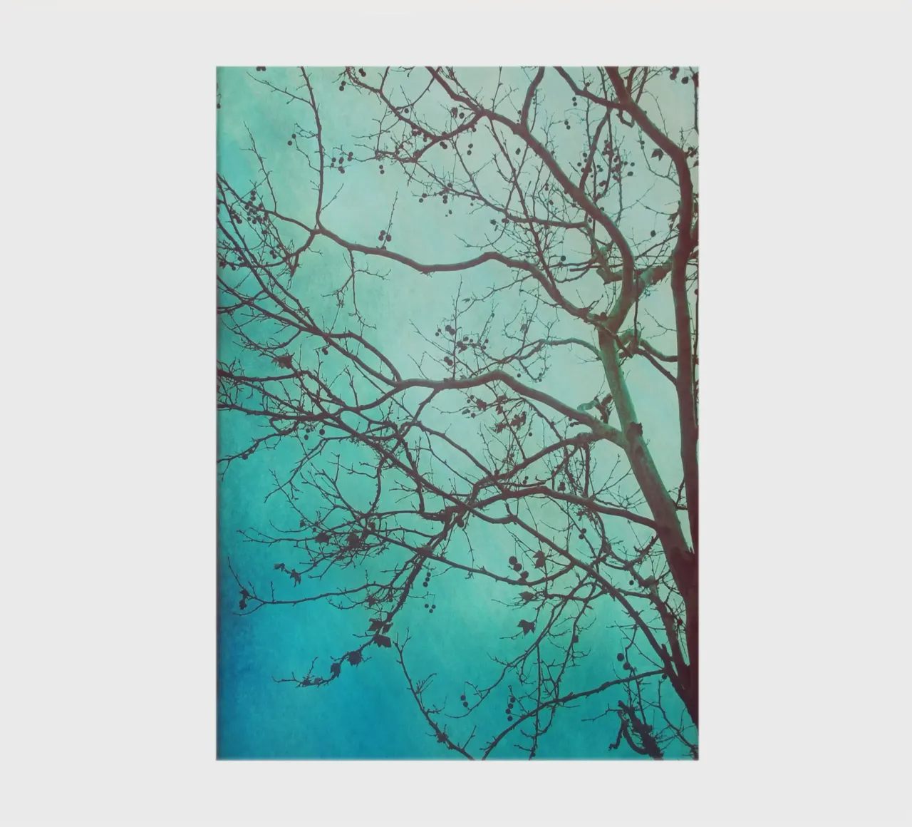 Tree and Dawn notebook by Eva Nev Photography