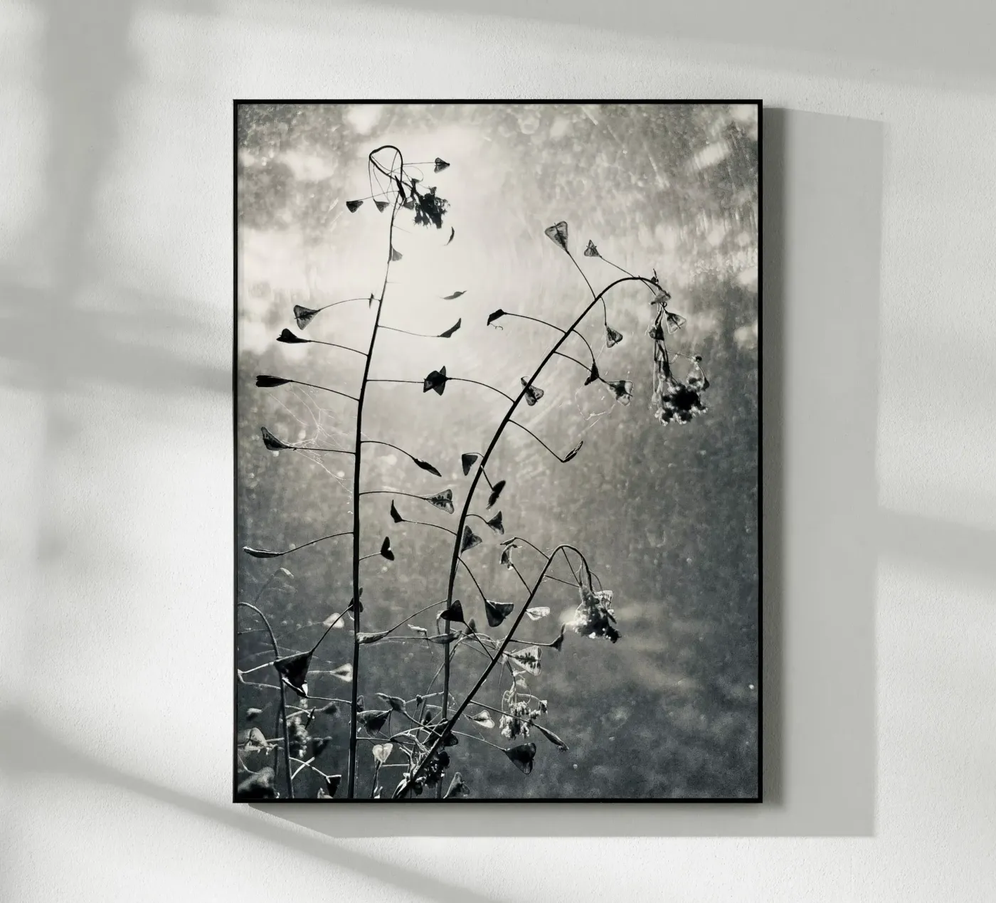 Borsa da pastore plexiglass da SaraRosenbaum