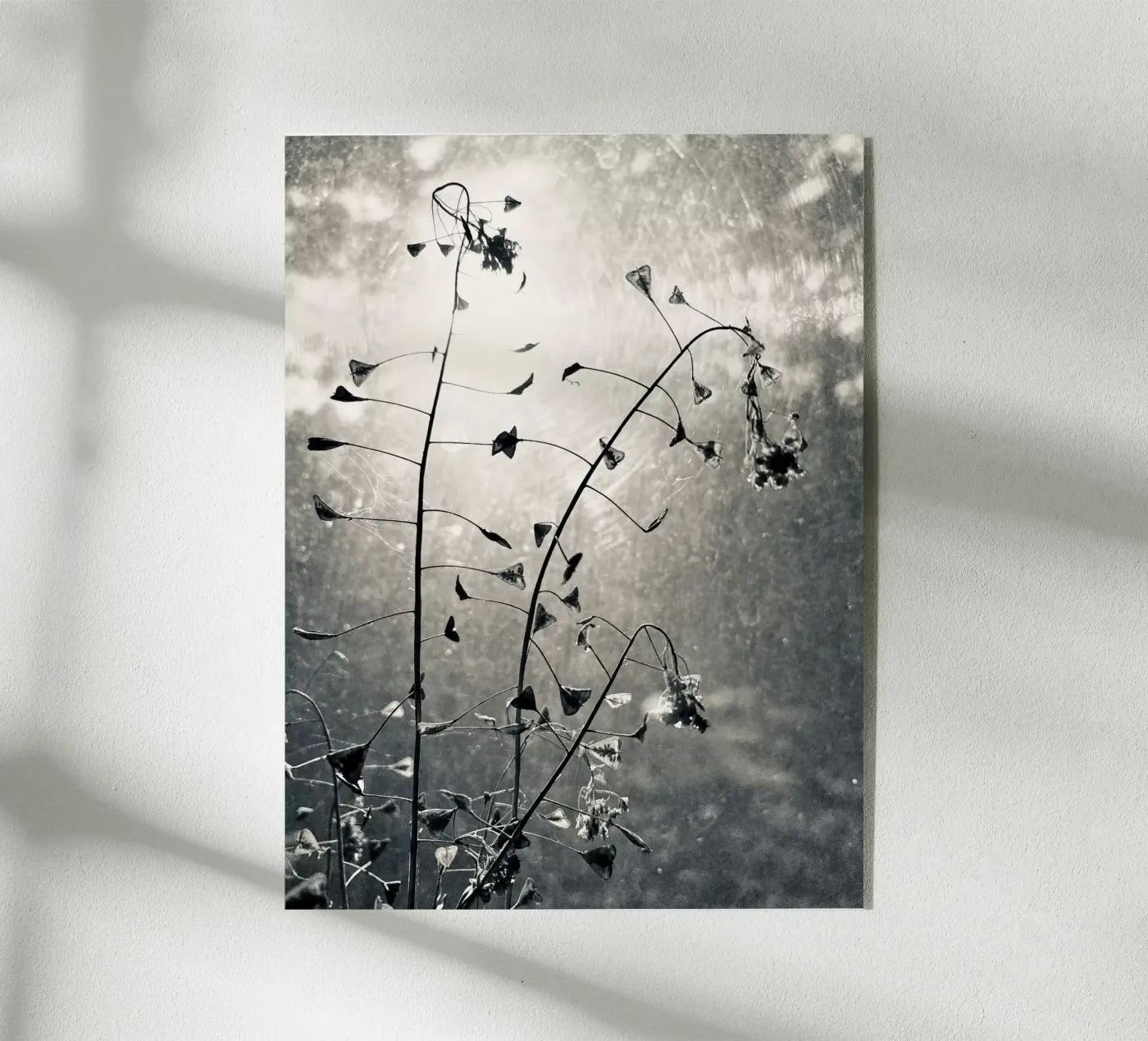 Borsa da pastore plexiglass da SaraRosenbaum