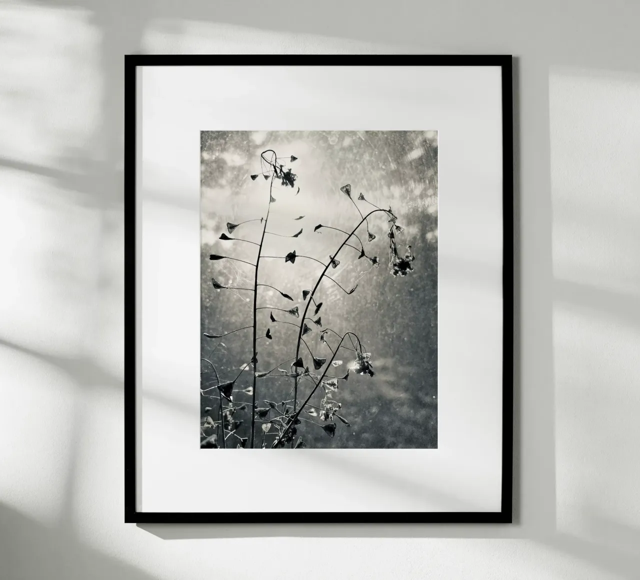 Borsa da pastore poster da SaraRosenbaum
