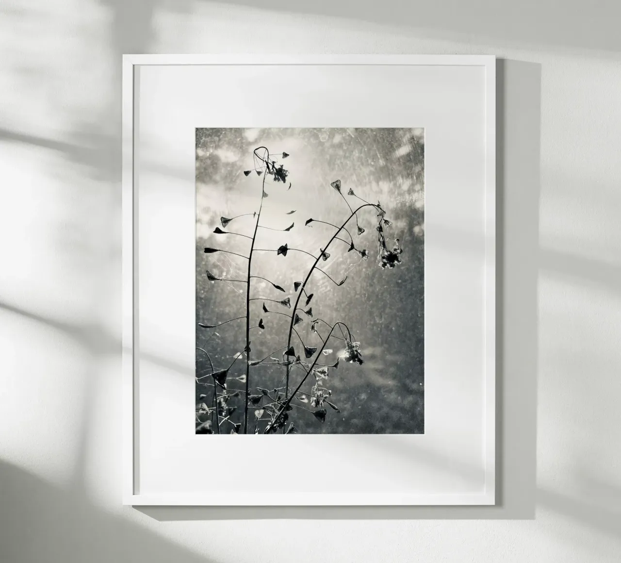 Borsa da pastore poster da SaraRosenbaum