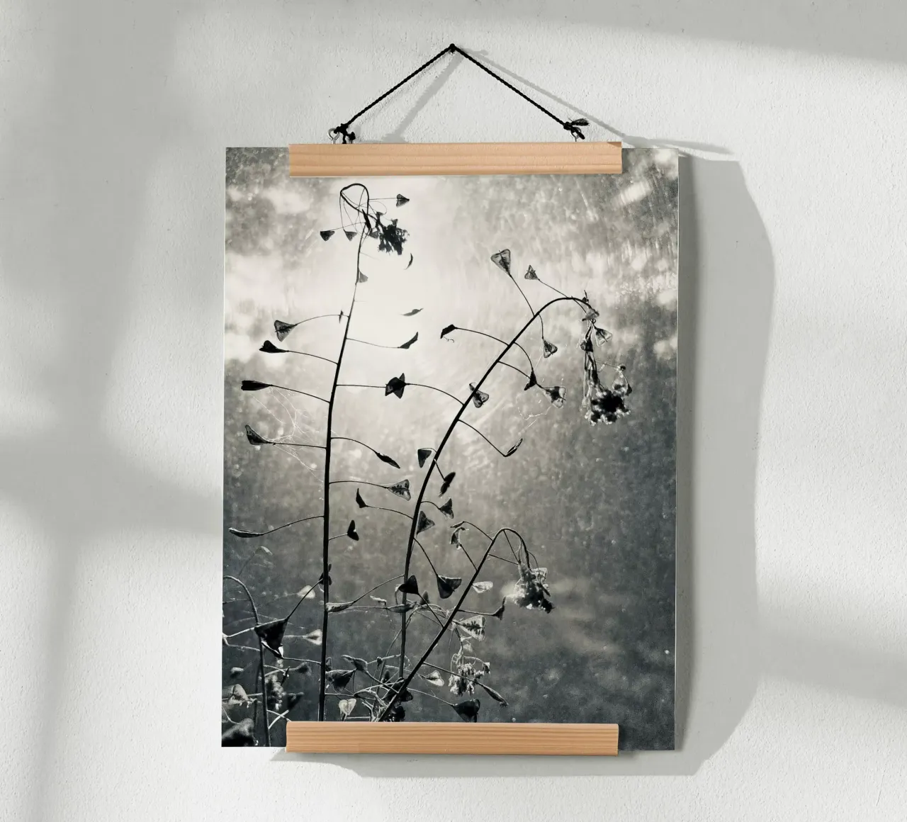 Borsa da pastore poster da SaraRosenbaum