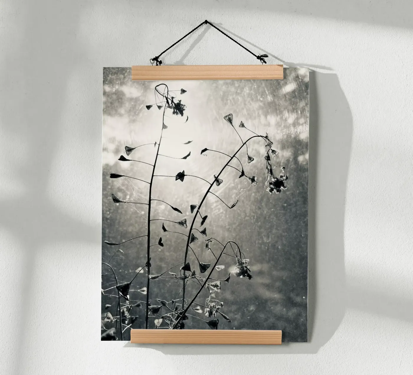 Borsa da pastore poster da SaraRosenbaum