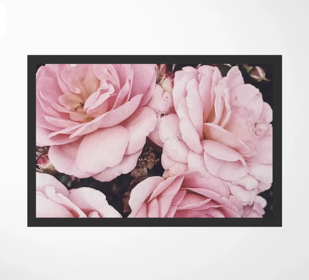 Rose romantiche - splendore floreale zerbino da Whole©