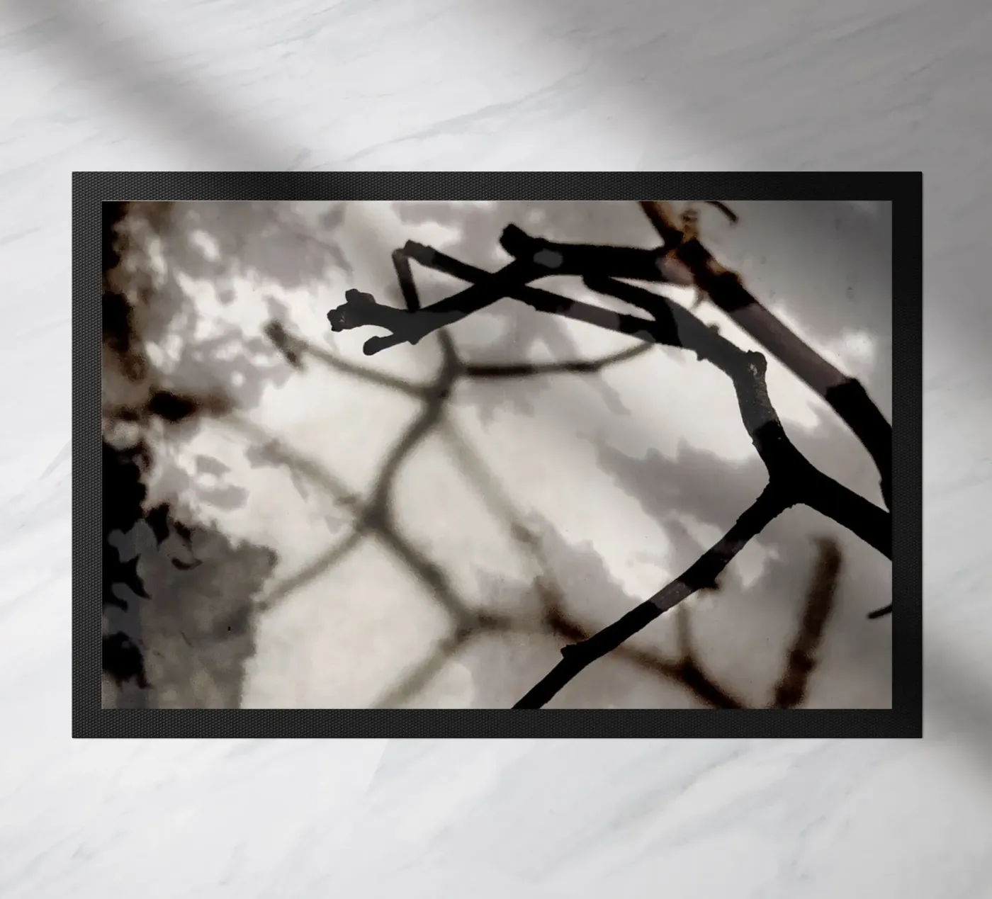 Rami zerbino da SaraRosenbaum