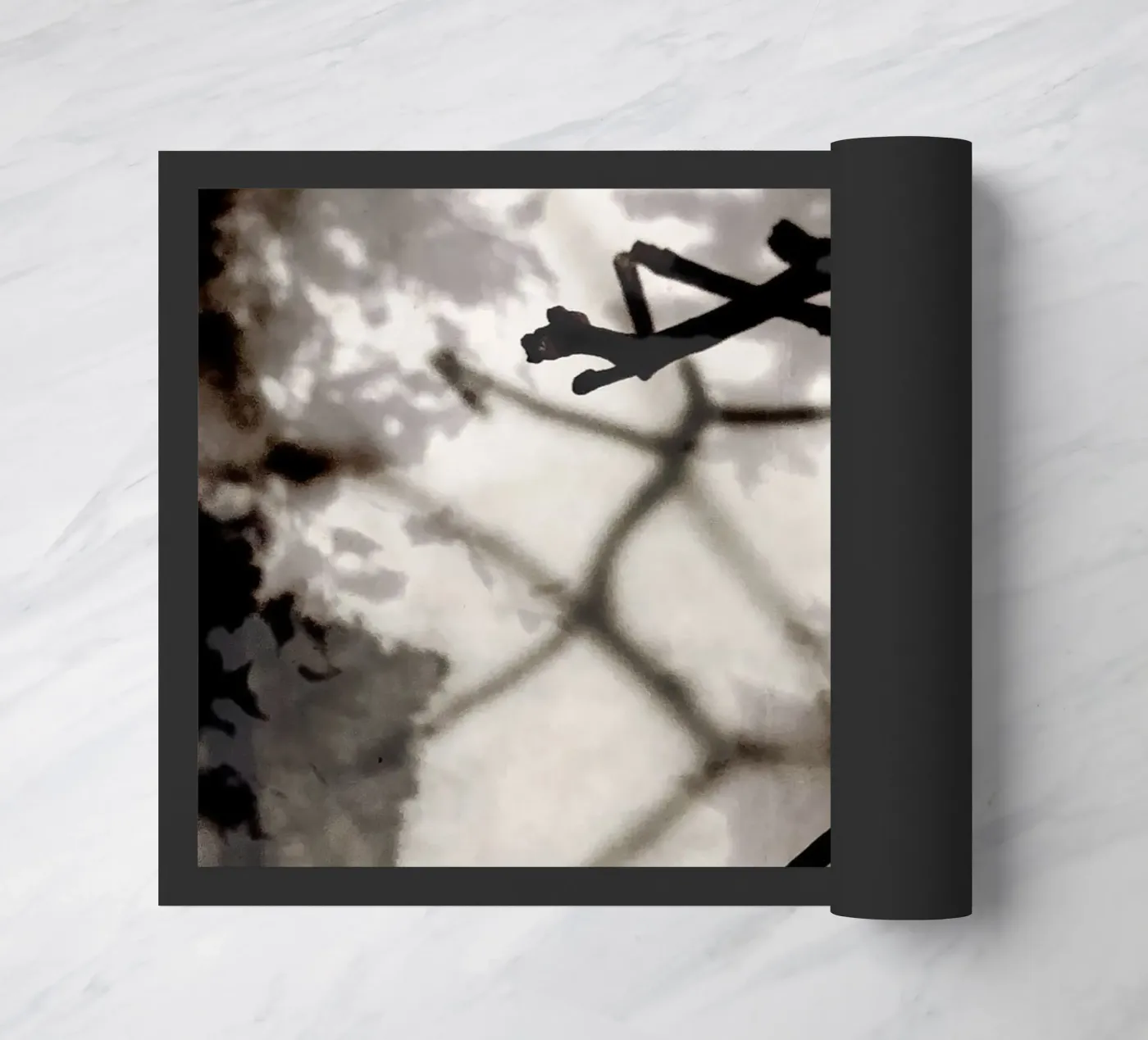 Rami zerbino da SaraRosenbaum