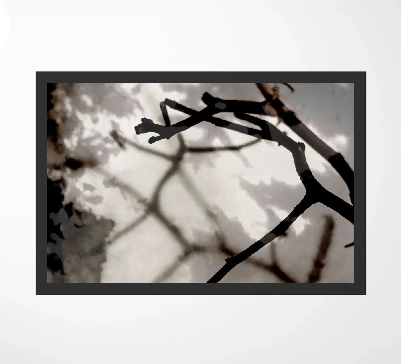 Rami zerbino da SaraRosenbaum