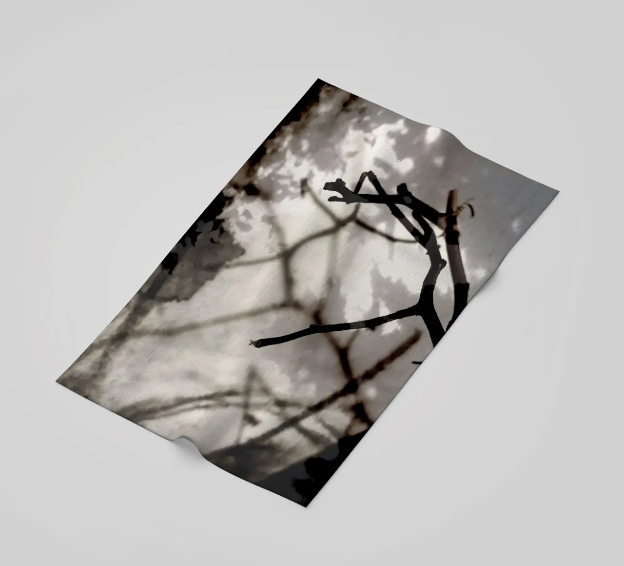 Rami telo mare da SaraRosenbaum