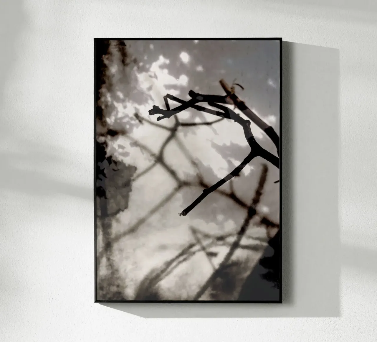 Rami plexiglass da SaraRosenbaum