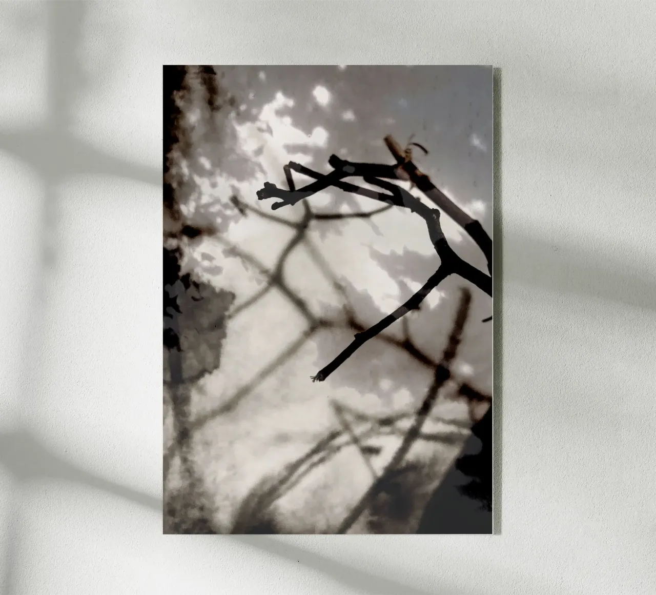 Rami plexiglass da SaraRosenbaum