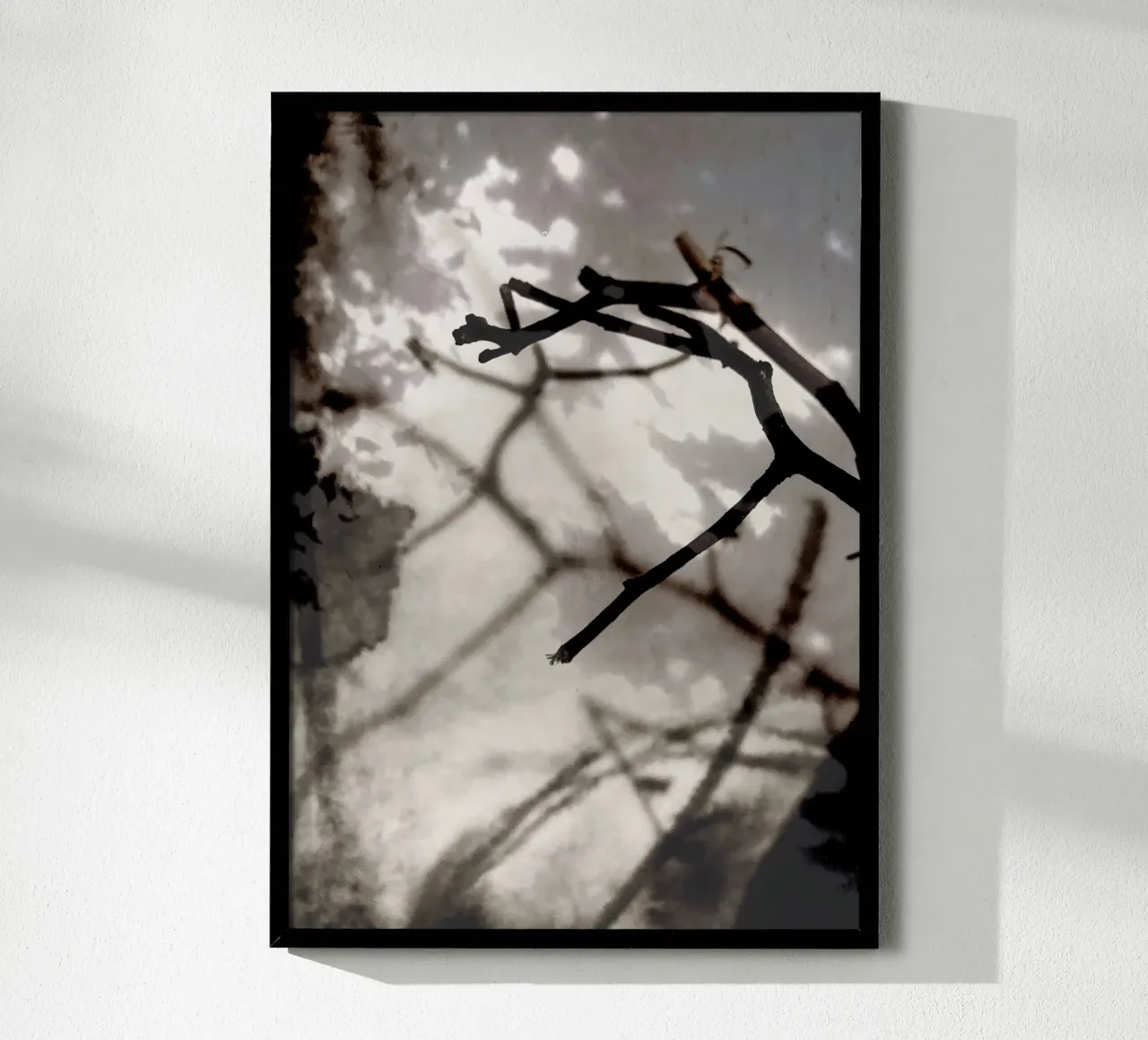 Rami poster da SaraRosenbaum