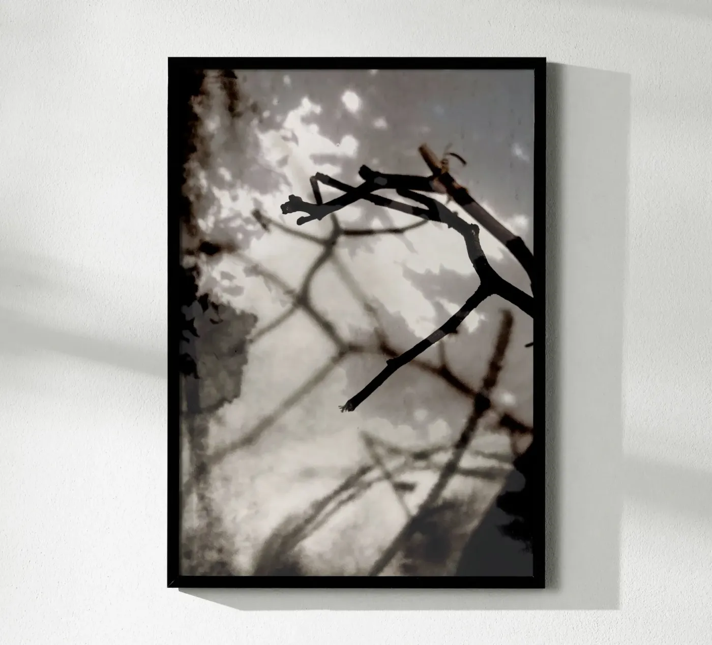 Rami poster da SaraRosenbaum