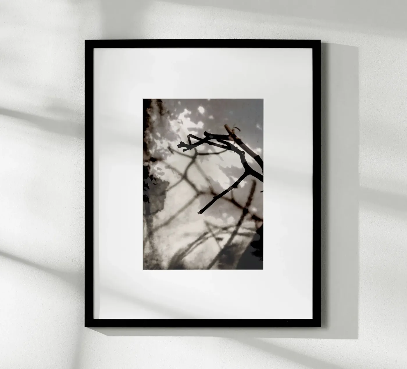 Rami poster da SaraRosenbaum