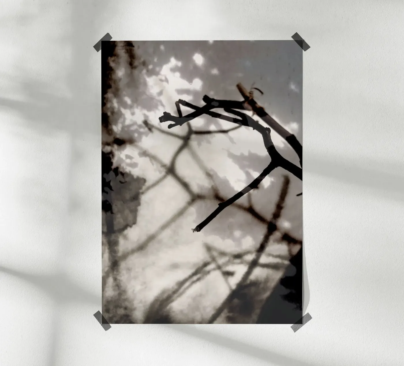 Rami poster da SaraRosenbaum