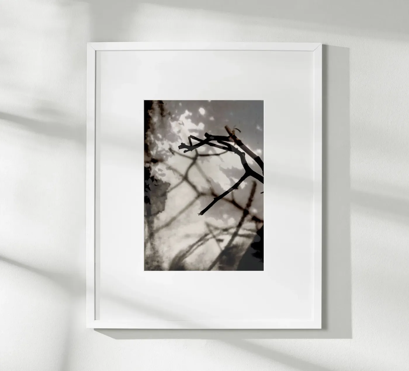 Rami poster da SaraRosenbaum