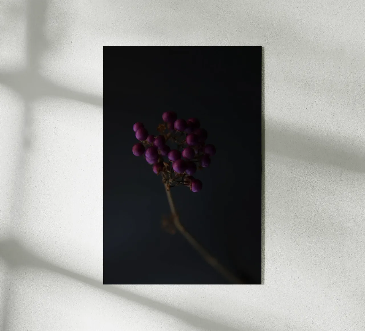 Liebesperlen plexiglass da Soul Traffic