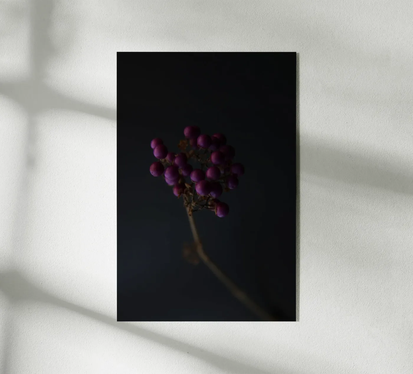 Liebesperlen plexiglass da Soul Traffic