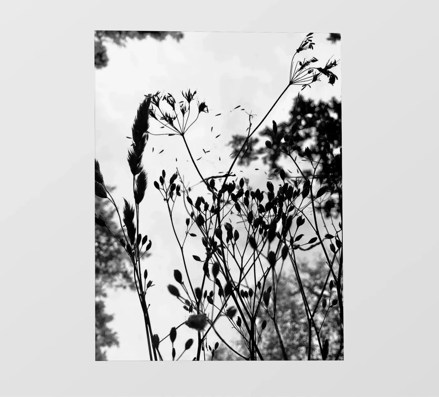 Grassen fotobehang van SaraRosenbaum