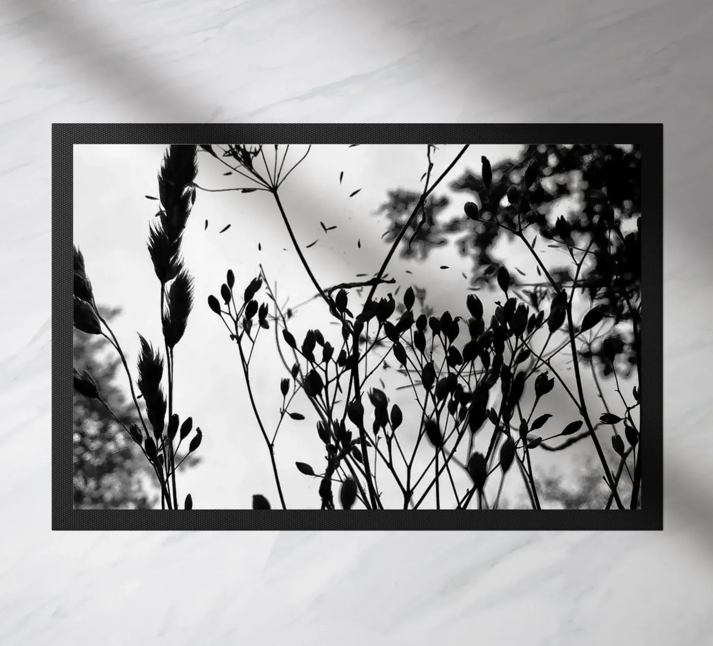 Erbe zerbino da SaraRosenbaum