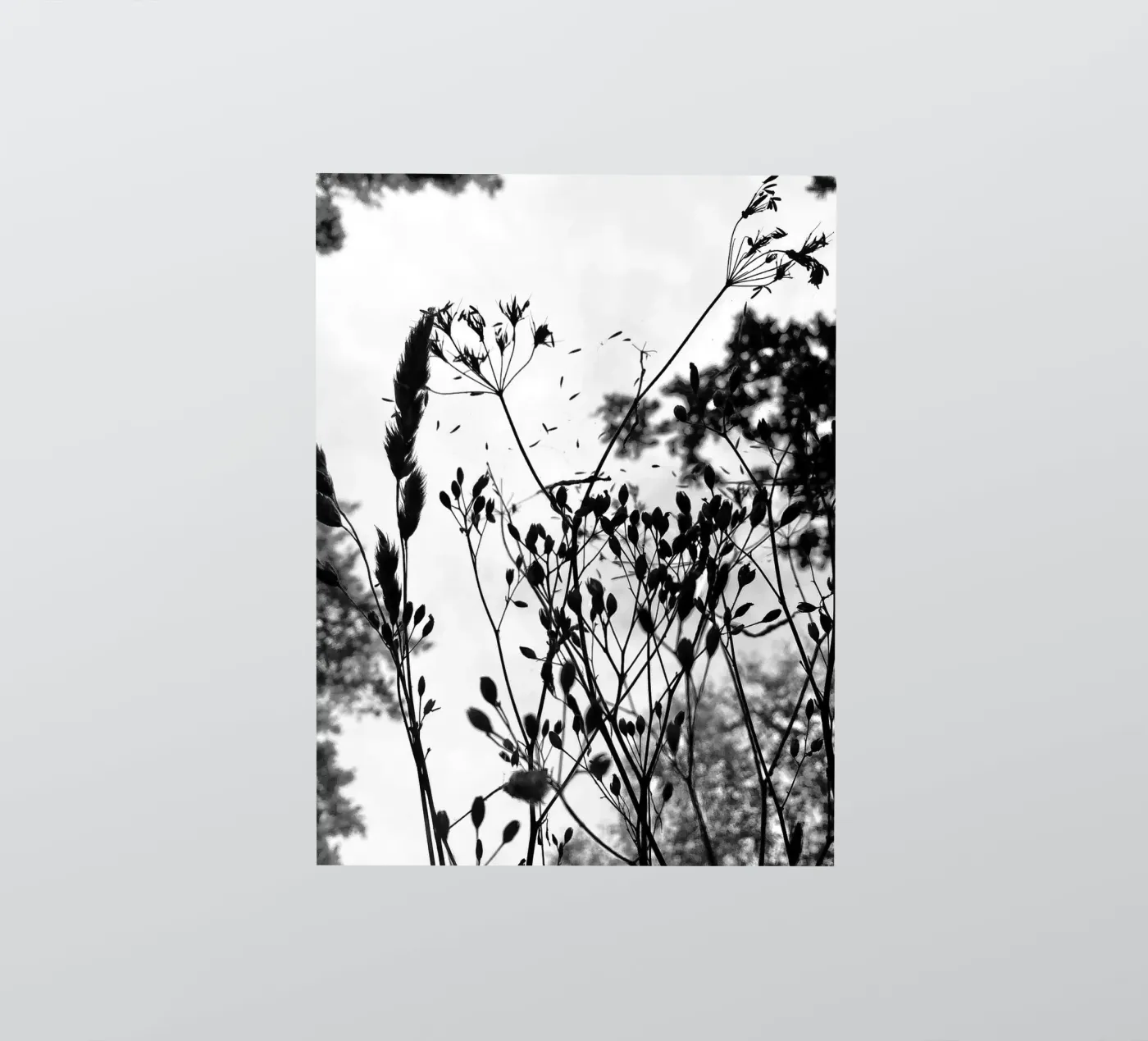 Grassen sticker van SaraRosenbaum