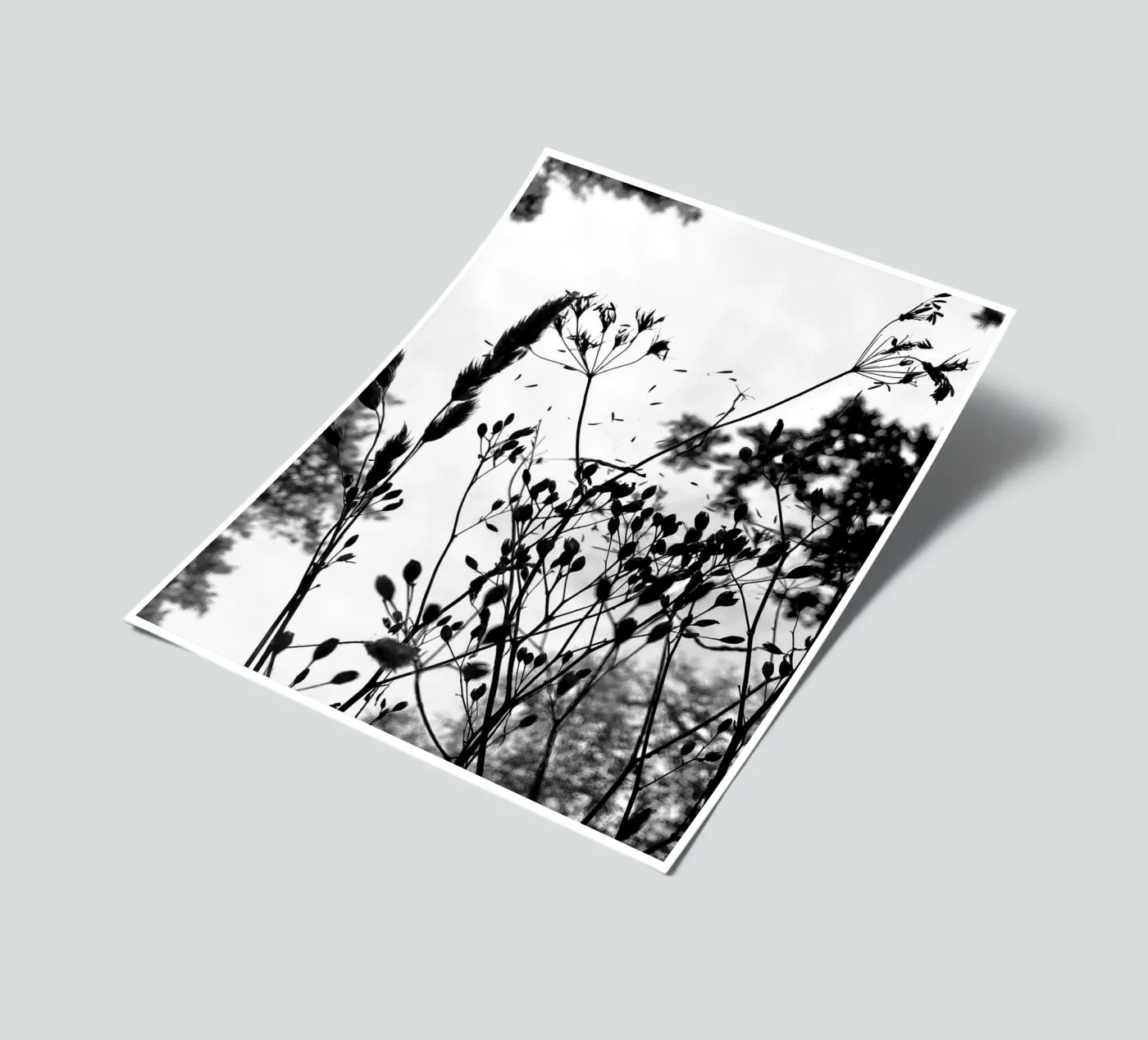 Grasses sticker sheet by SaraRosenbaum